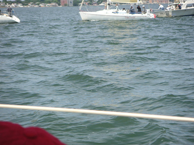 PICT0117.JPG