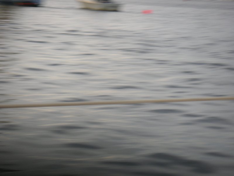 PICT0049.JPG