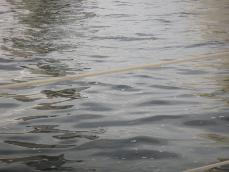 PICT0051.JPG