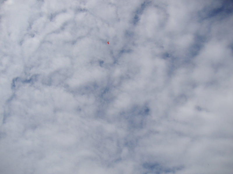 PICT0043.JPG