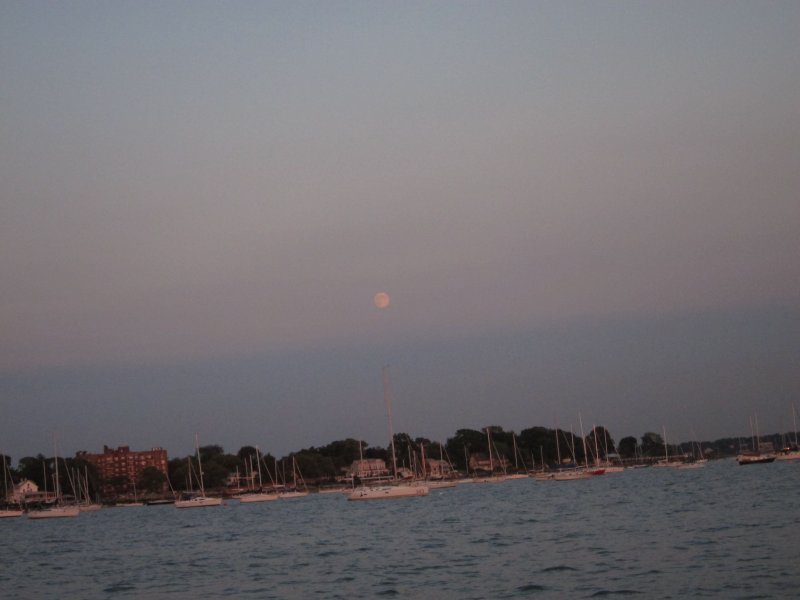 IMG_7545.jpg