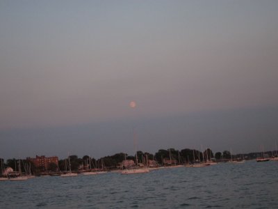 IMG_7545.jpg