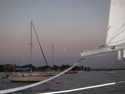 IMG_7568.jpg
