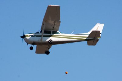 IMG_6229.jpg