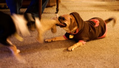 IMG_6472.jpg