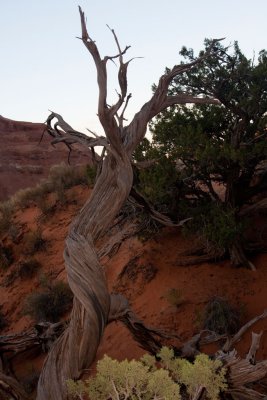 Arches_NP_IMG_6769.jpg