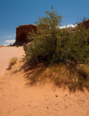 Delicate_Arch_Hike_IMG_6670.jpg