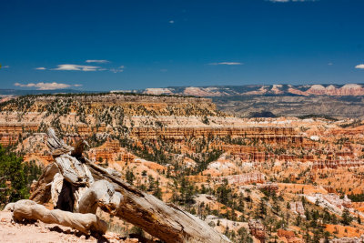 Bryce_Canyon_IMG_6820.jpg