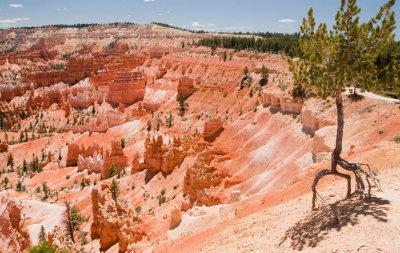 Bryce_Canyon_IMG_6826.jpg