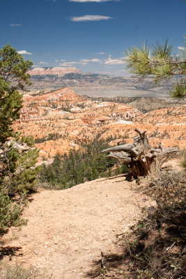 Bryce_Canyon_IMG_6852.jpg