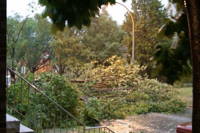 CRW_2391.jpg