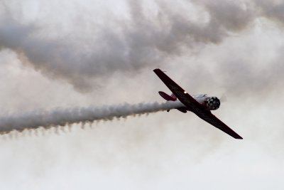 CRW_2663.jpg