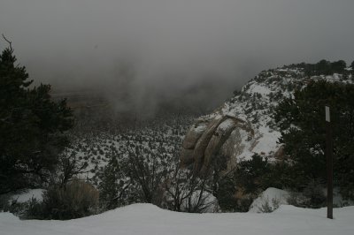 CRW_4029.jpg