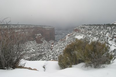 CRW_4034.jpg