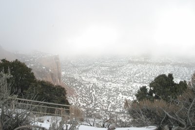 CRW_4037.jpg