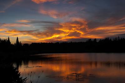 Sunrise & Sunsets