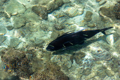 _MG_4668.jpg