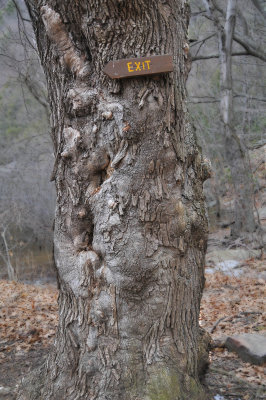 Exit Tree