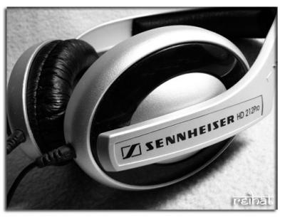 Senn