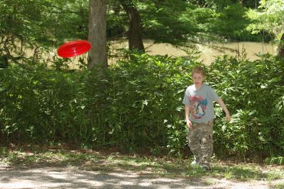 g4/13/406813/3/59893936.FrisbeeGolf150sm.jpg