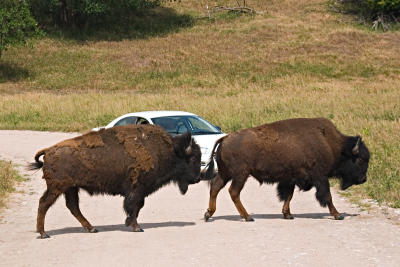 CRW_4097.jpg