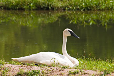 CRW_4215.jpg