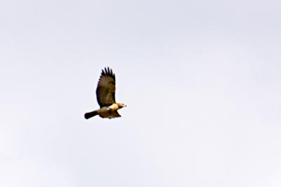 CRW_4307.jpg