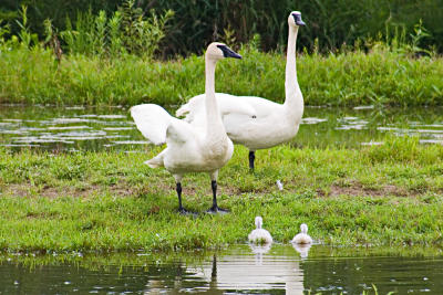 CRW_4399.jpg