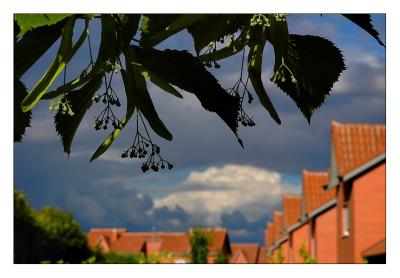 Neighborhood