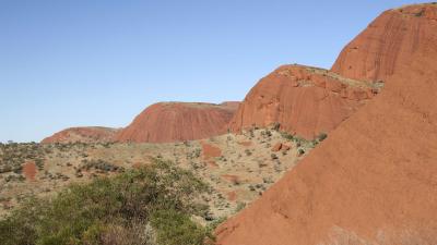 g4/13/469313/3/60710556.Olgas.jpg