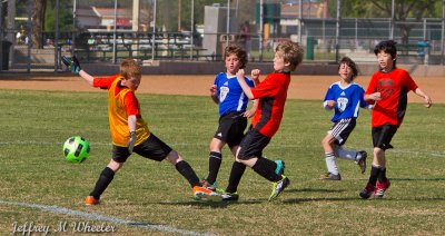 _MG_7170.jpg