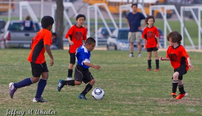 _MG_7375.jpg