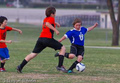 _MG_7381.jpg