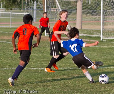 _MG_7512.jpg