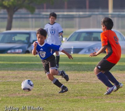 _MG_7564.jpg