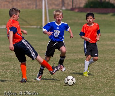 _MG_8646.jpg