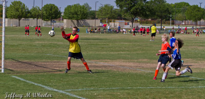 _MG_8655.jpg