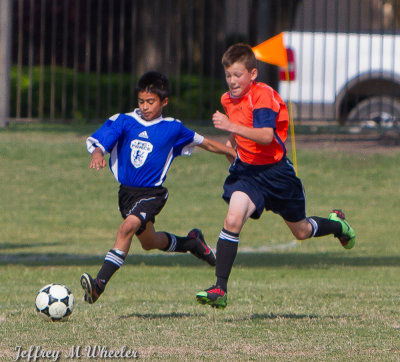 _MG_8677.jpg