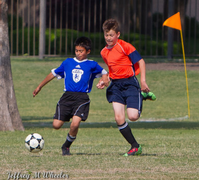 _MG_8678.jpg