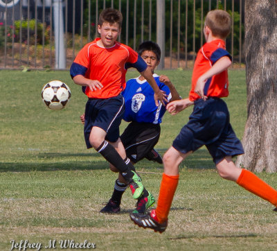 _MG_8683.jpg
