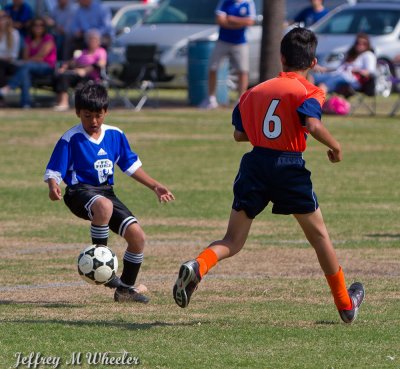 _MG_8718.jpg
