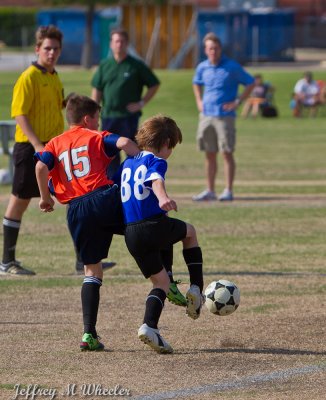 _MG_8895.jpg