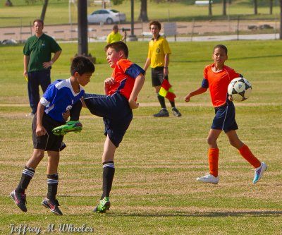 _MG_8931.jpg