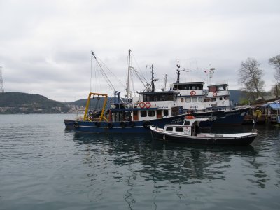 Fishing boats