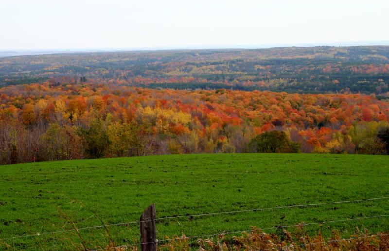Creemore Ontario