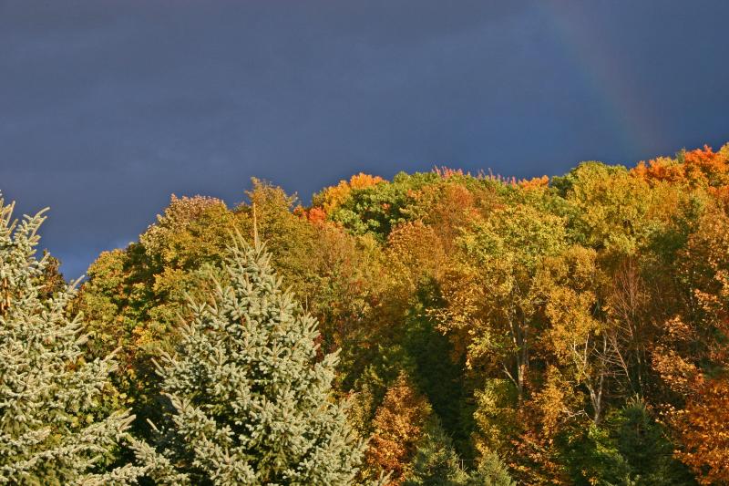 Minesing Ontario