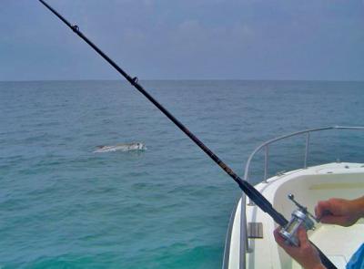 7-1-06 Tarpon 041contr copy.jpg