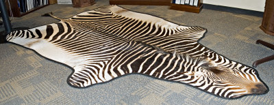 rug.jpg