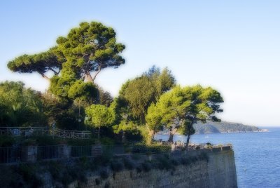 clifftopOrton copy.jpg