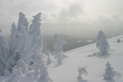 Monts-Valin , 980 mtres, le parc national des Monts-Valin (Saguenay)